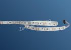 LED Flexible Strip  ZH-LS5050R60